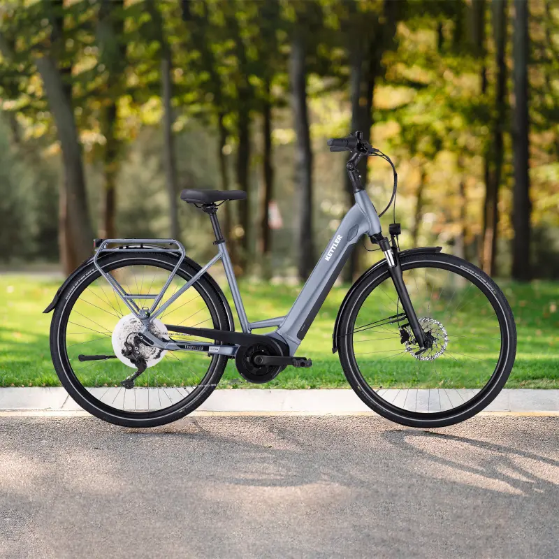 Rower Kettler E-TRAVELLER GOLD 10 PLUS